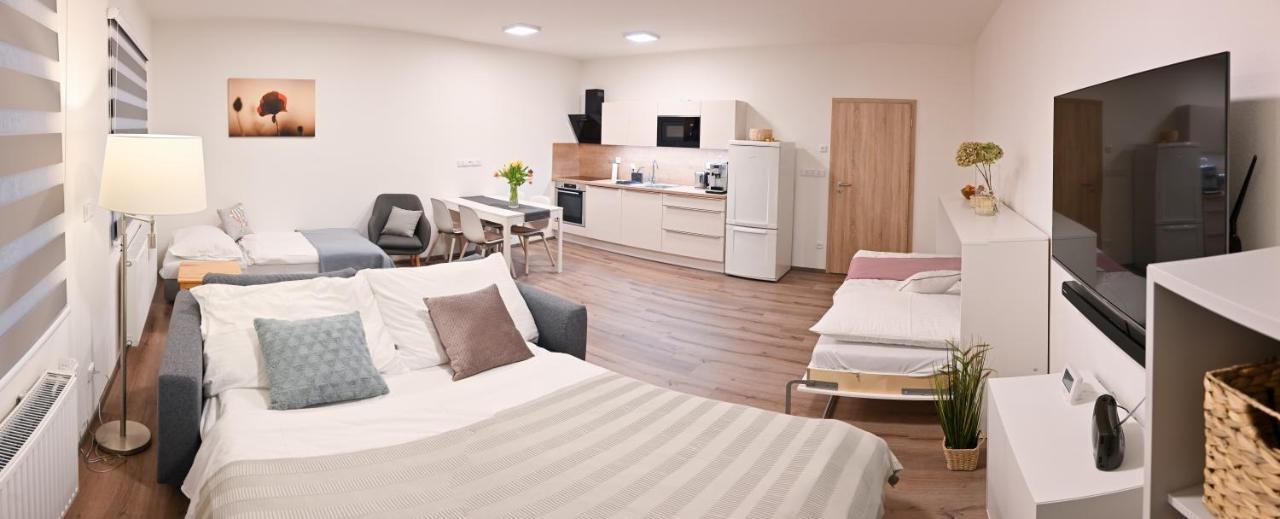 Apartment Mija Frymburk